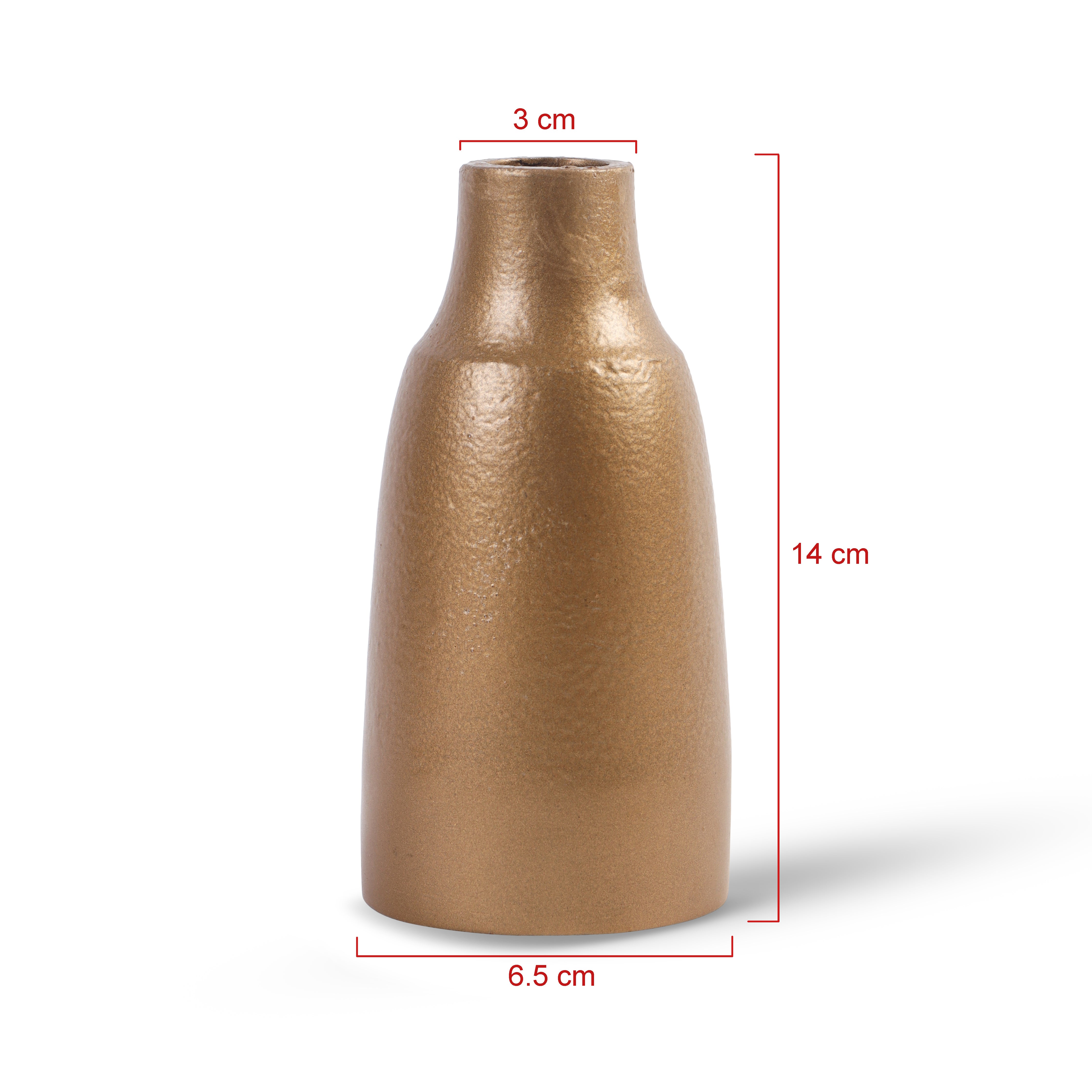 Matte Gold Decorative Vase Duo